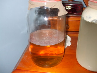 Cider Vinegar showing mother-of-vinegar